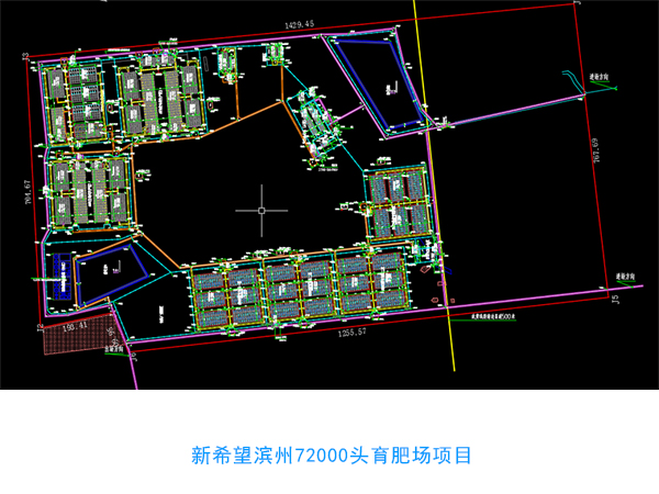 万头规模化育肥养猪场设计图