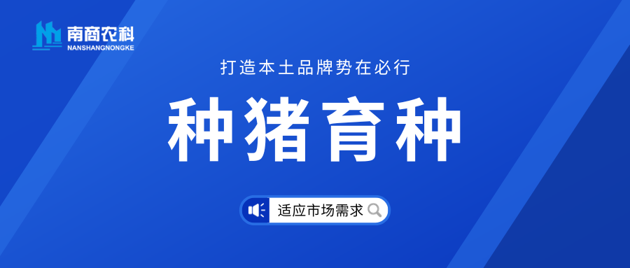 种猪育种与本土品牌建设：市场需求是重中之重